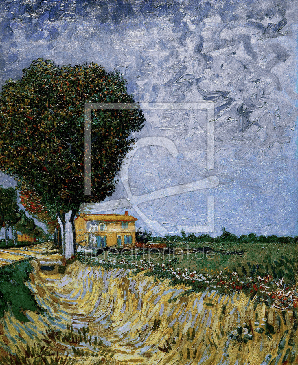 Bild-Nr.: 30003230 V.v.Gogh, Avenue near Arles erstellt von van Gogh, Vincent