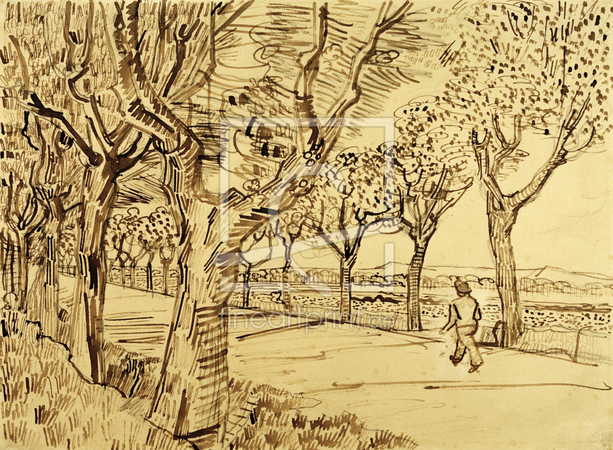 Bild-Nr.: 30003232 V.v.Gogh, Road to Tarascon /Drawing/1888 erstellt von van Gogh, Vincent