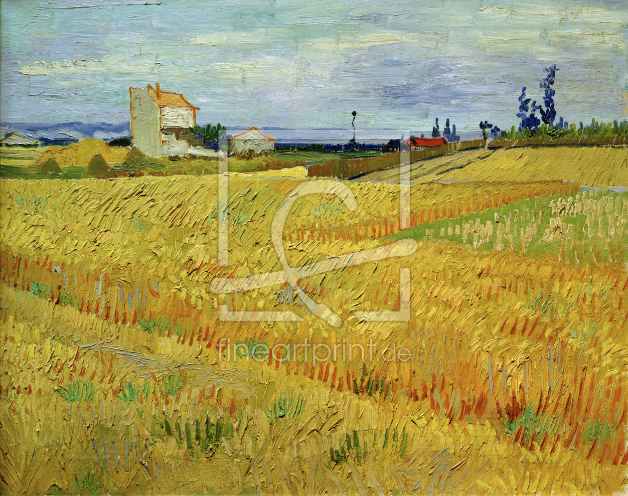 Bild-Nr.: 30003240 V.v.Gogh, Wheat Field / Paint./ 1888 erstellt von van Gogh, Vincent