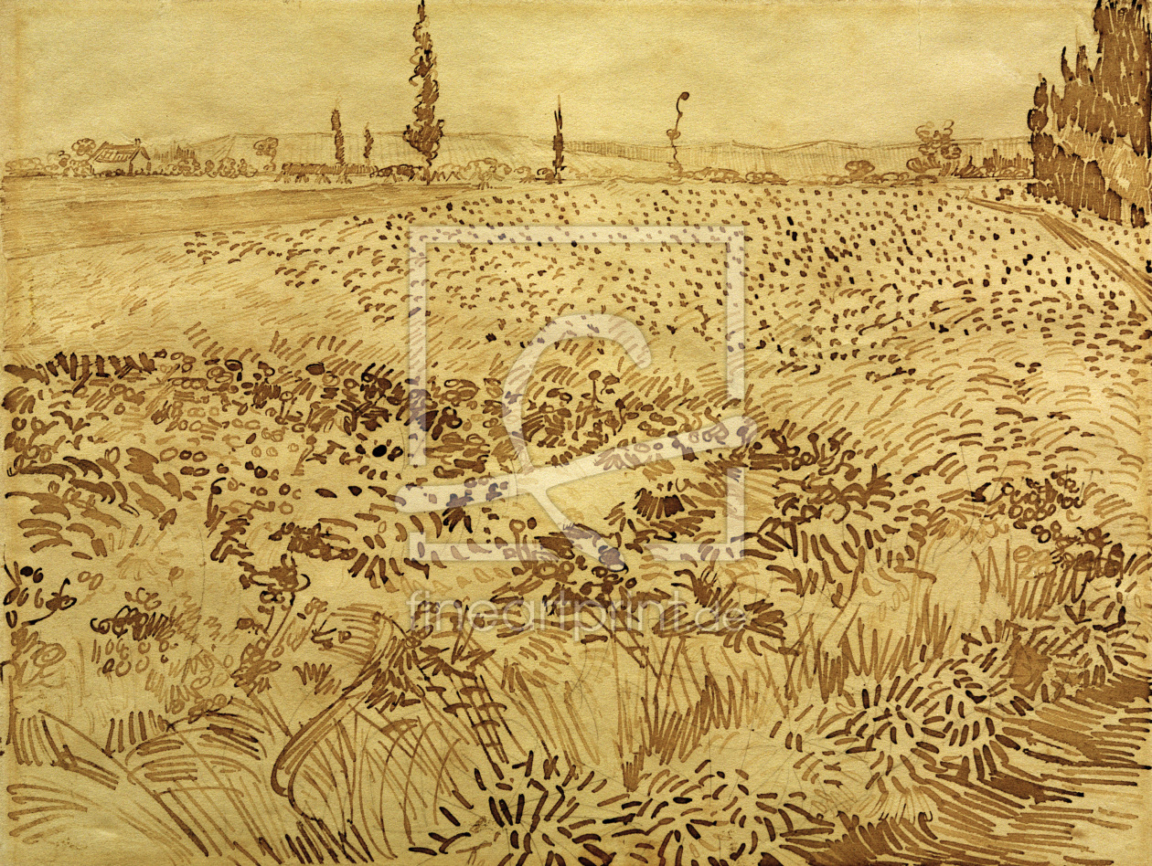 Bild-Nr.: 30003252 V.v.Gogh, Wheat Field / Drawing / 1888 erstellt von van Gogh, Vincent