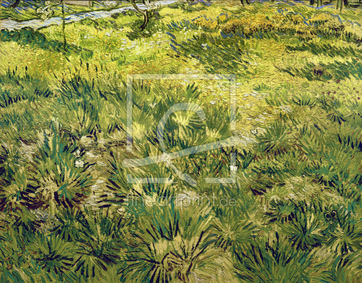 Bild-Nr.: 30003266 van Gogh / Garden at Saint-Paul / 1890 erstellt von van Gogh, Vincent