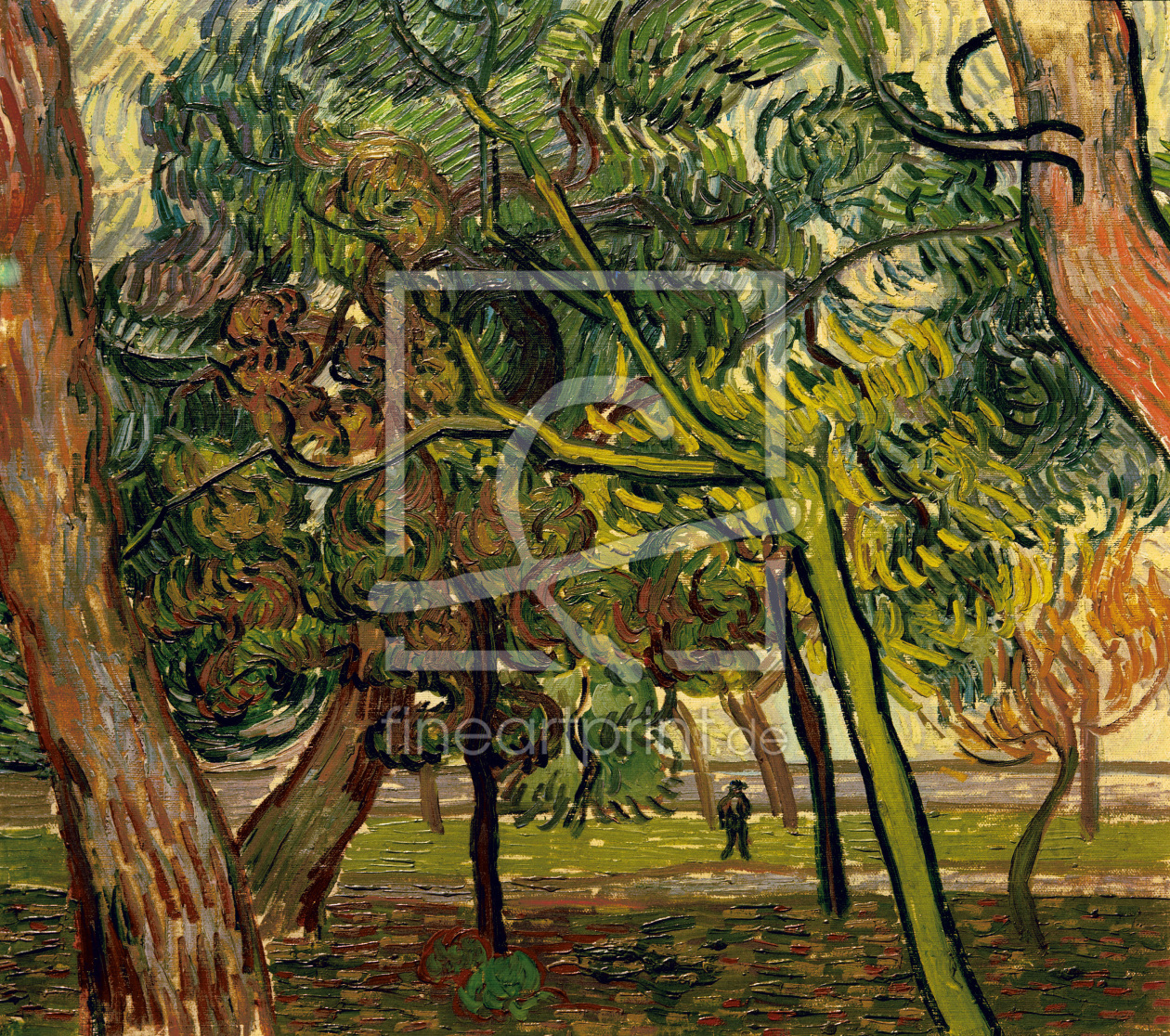Bild-Nr.: 30003268 V.van Gogh, Study of Pine Trees / 1889 erstellt von van Gogh, Vincent