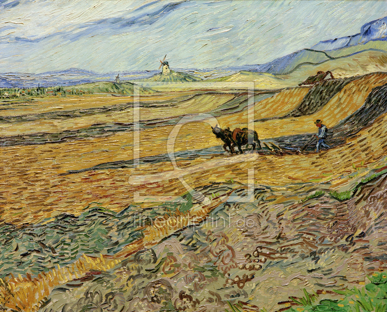 Bild-Nr.: 30003276 Vincent van Gogh / Enclosed Field / 1889 erstellt von van Gogh, Vincent