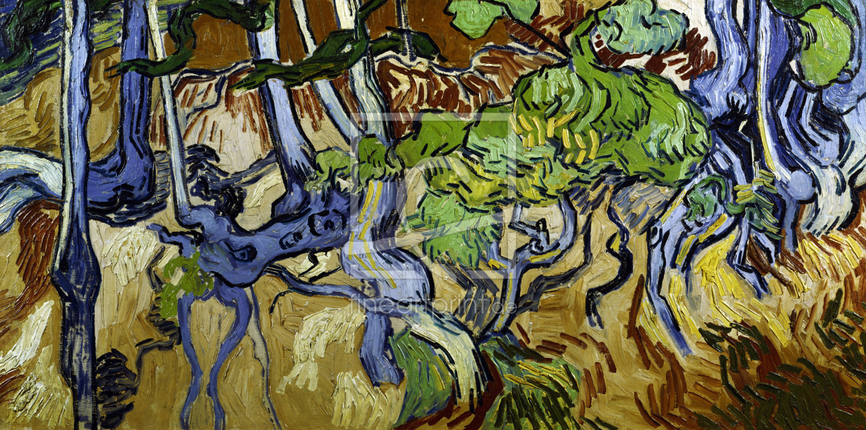 Bild-Nr.: 30003294 V.v.Gogh / Tree roots and tree trunks erstellt von van Gogh, Vincent