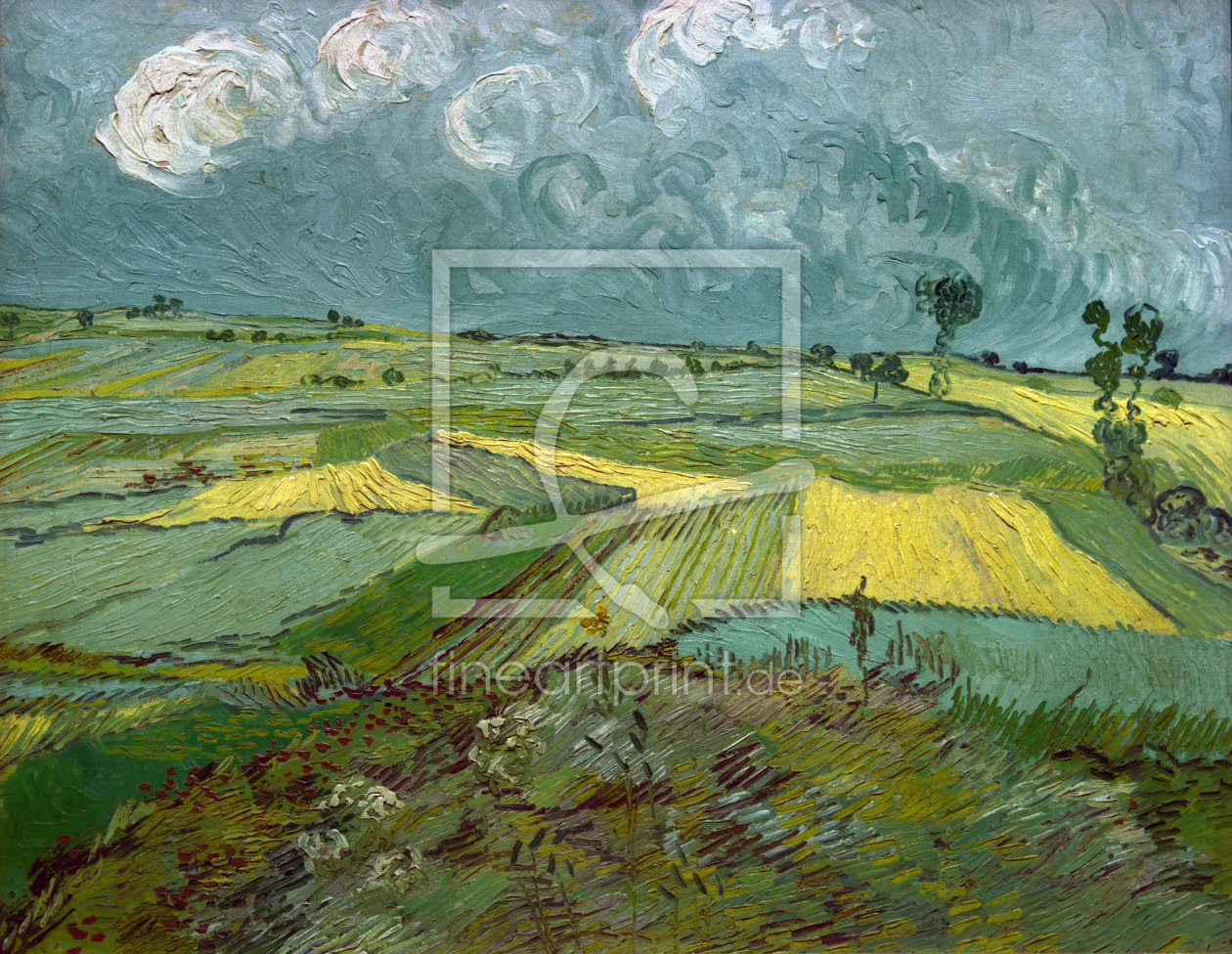 Bild-Nr.: 30003308 Van Gogh / Wheatfields in Auvers / 1890 erstellt von van Gogh, Vincent
