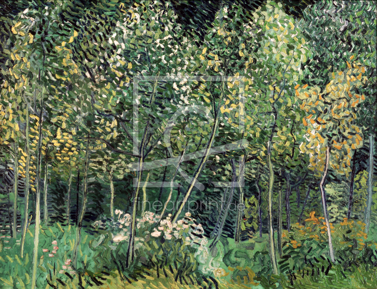 Bild-Nr.: 30003316 van Gogh / Small forest / July 1890 erstellt von van Gogh, Vincent