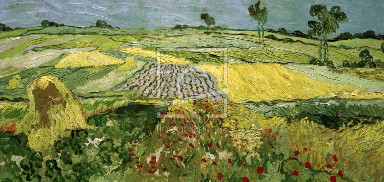 Bild-Nr.: 30003318 Van Gogh / Fields in Auvers erstellt von van Gogh, Vincent