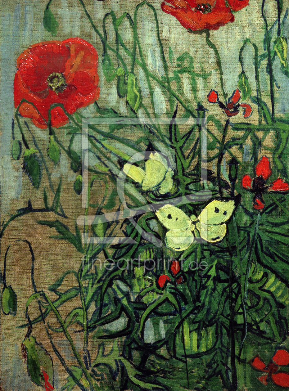 Bild-Nr.: 30003448 van Gogh, Butterflies & Poppies /Paint. erstellt von van Gogh, Vincent