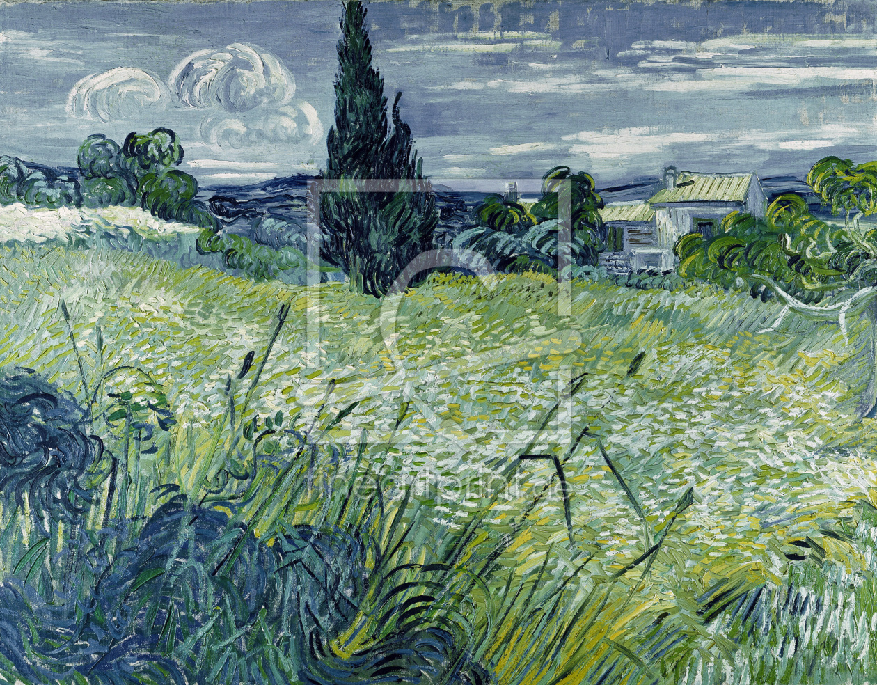 Bild-Nr.: 30003466 Van Gogh / Wheat-field / 1889 erstellt von van Gogh, Vincent