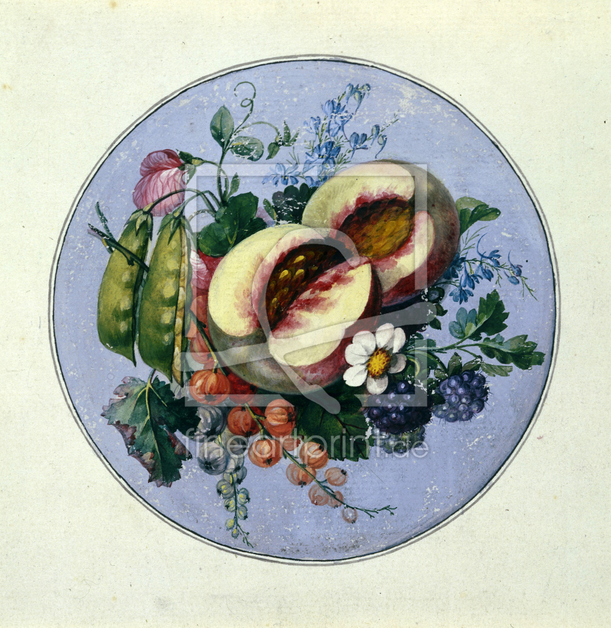 Bild-Nr.: 30003576 Kersting / Circular Fruit Piece erstellt von Kersting, Georg Friedrich