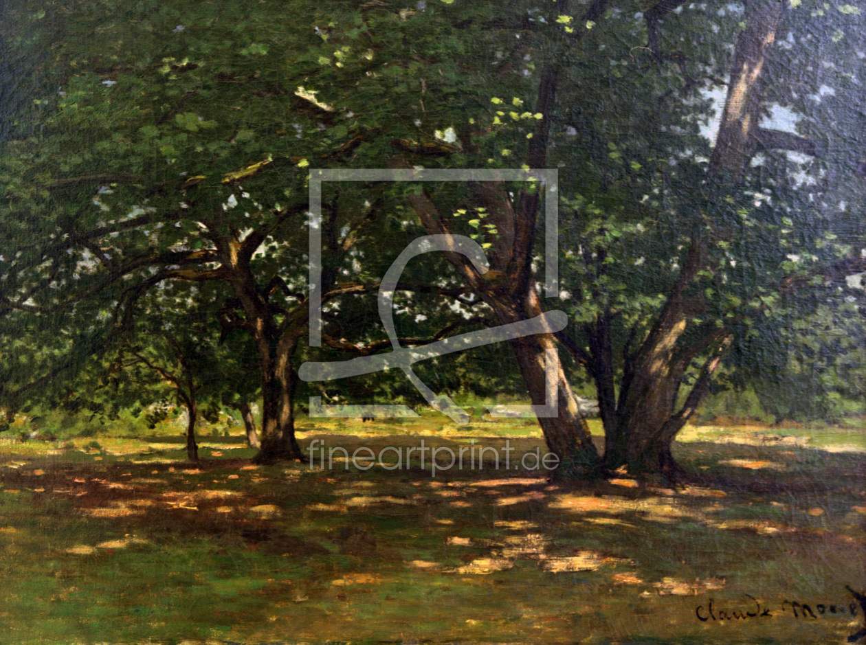 Bild-Nr.: 30004094 C.Monet, Wald von Fontainebleau erstellt von Monet, Claude