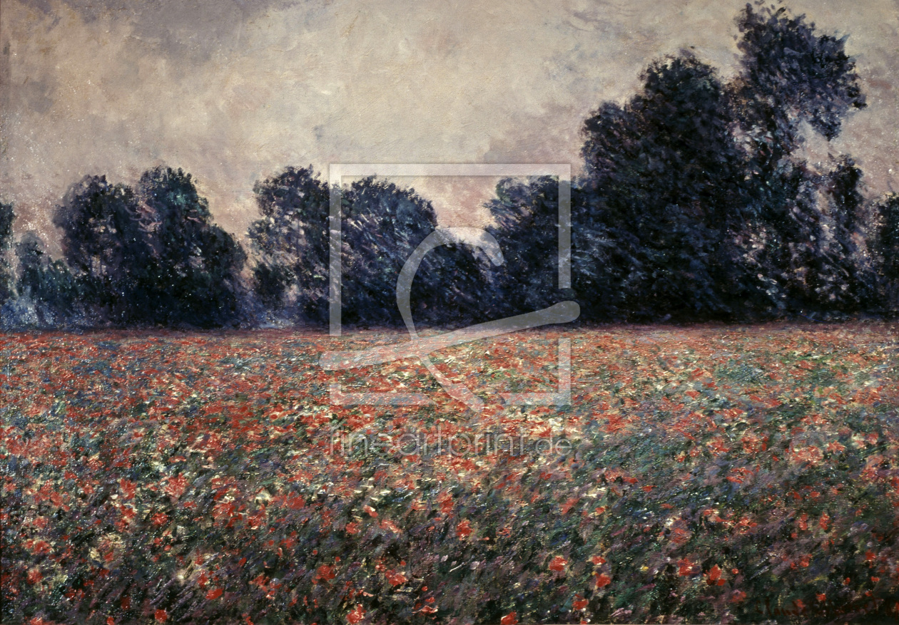 Bild-Nr.: 30004100 Cl.Monet / Field w.Wild Poppies / c.1900 erstellt von Monet, Claude