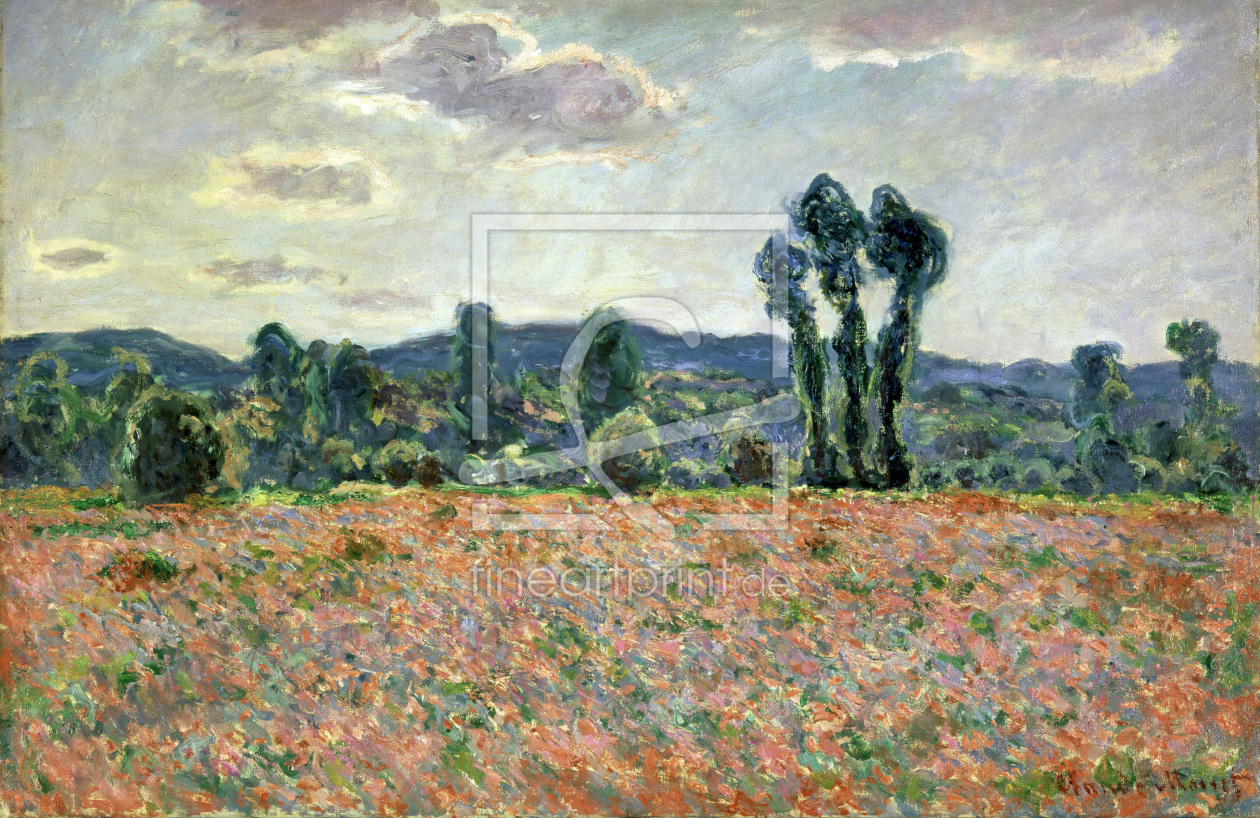 Bild-Nr.: 30004108 C.Monet / Field with poppies erstellt von Monet, Claude