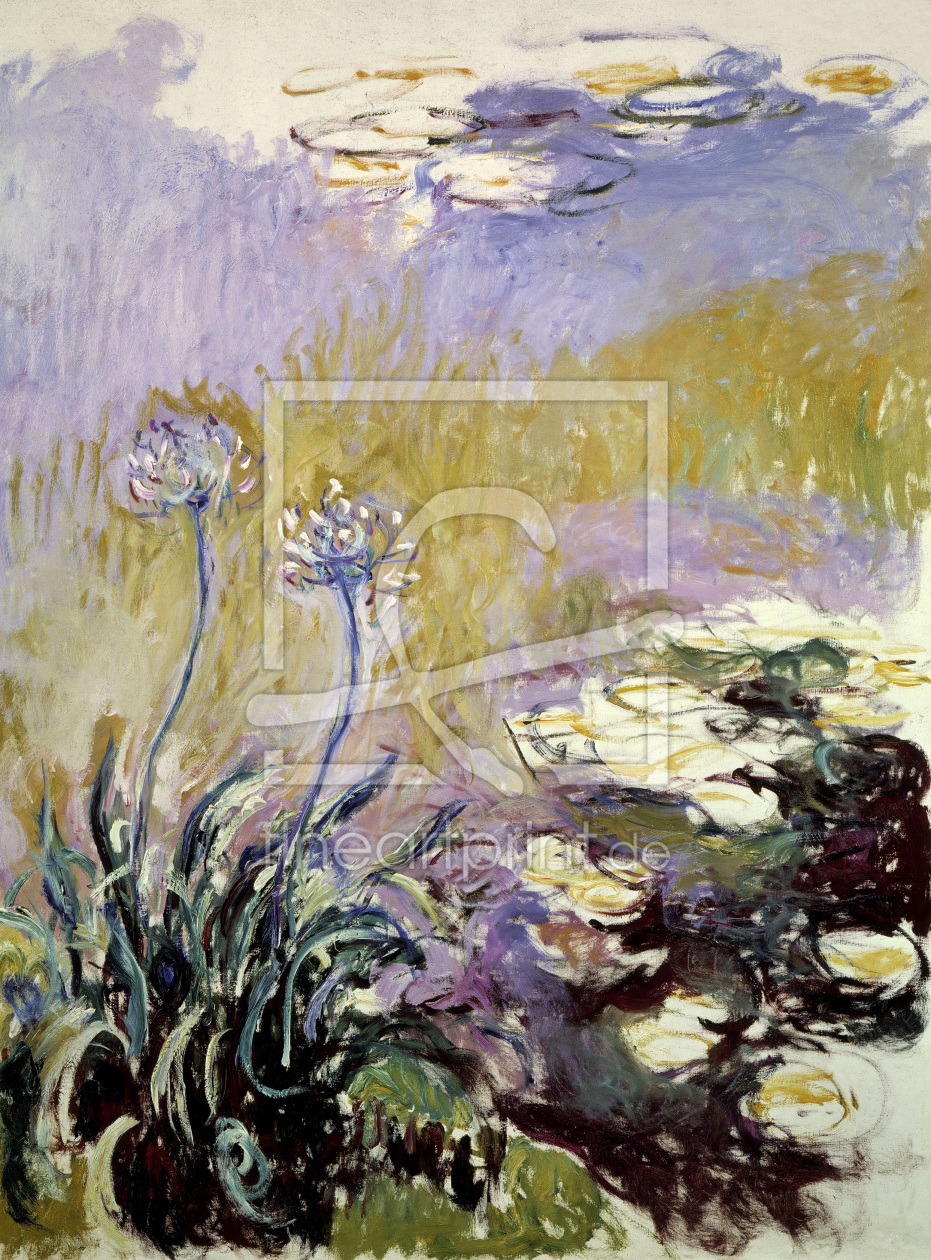 Bild-Nr.: 30004134 Claude Monet/ Les Agapanthes erstellt von Monet, Claude