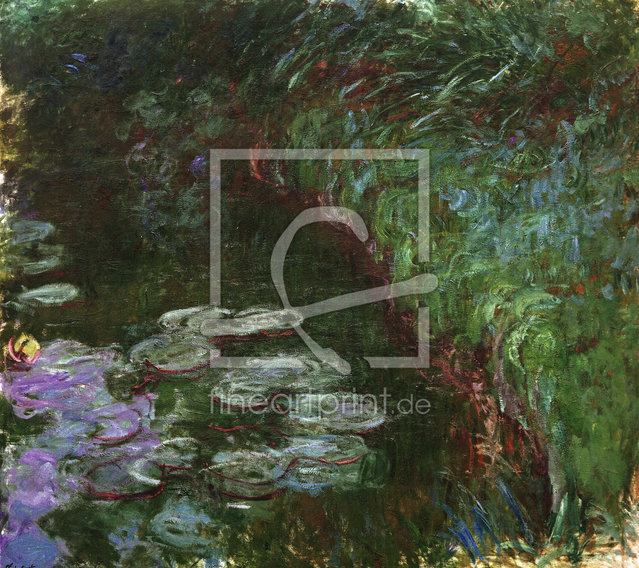 Bild-Nr.: 30004140 C.Monet, Seerosen (KÃ¶ln) erstellt von Monet, Claude