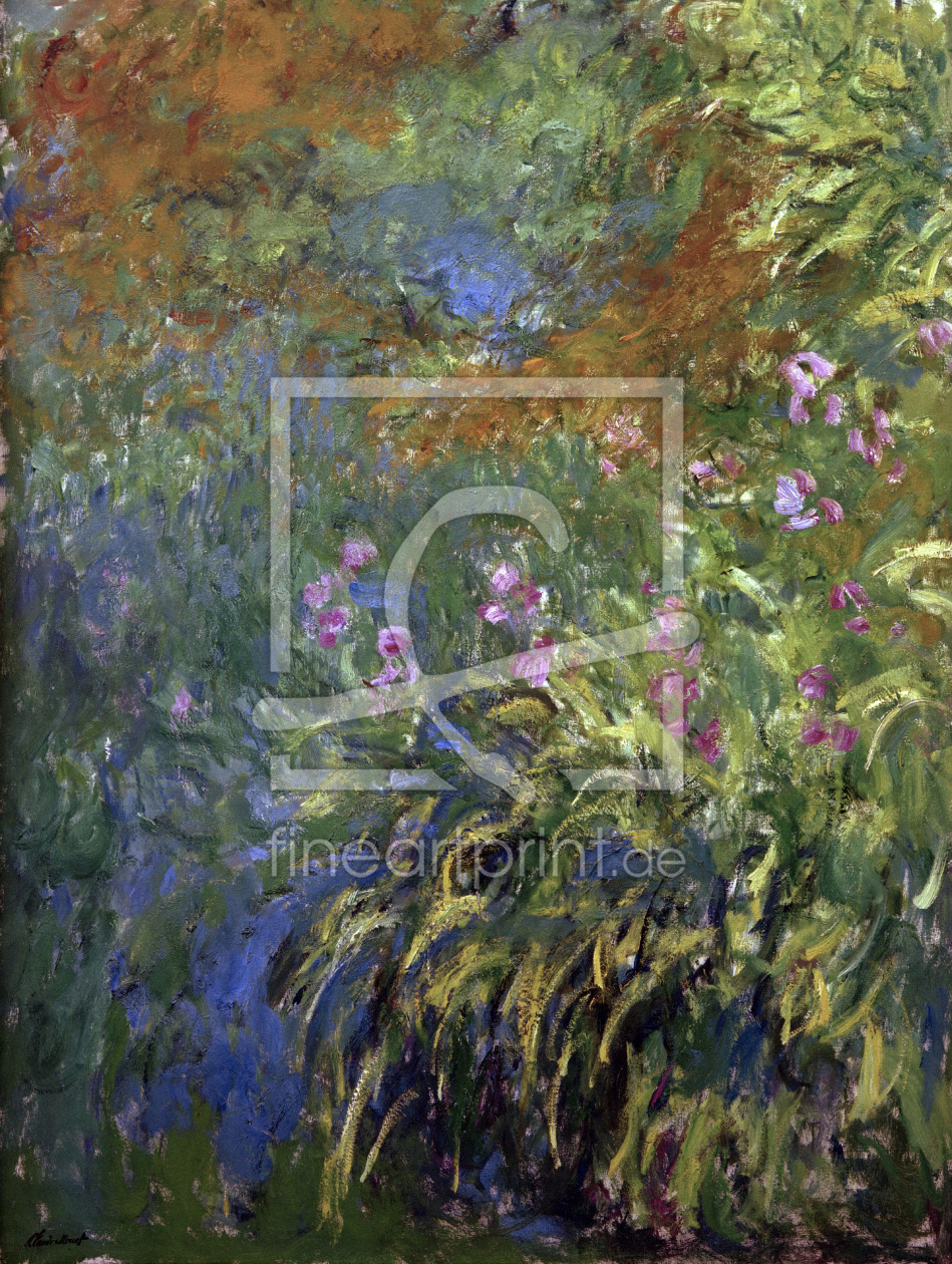Bild-Nr.: 30004142 C.Monet, Iris am Teich erstellt von Monet, Claude