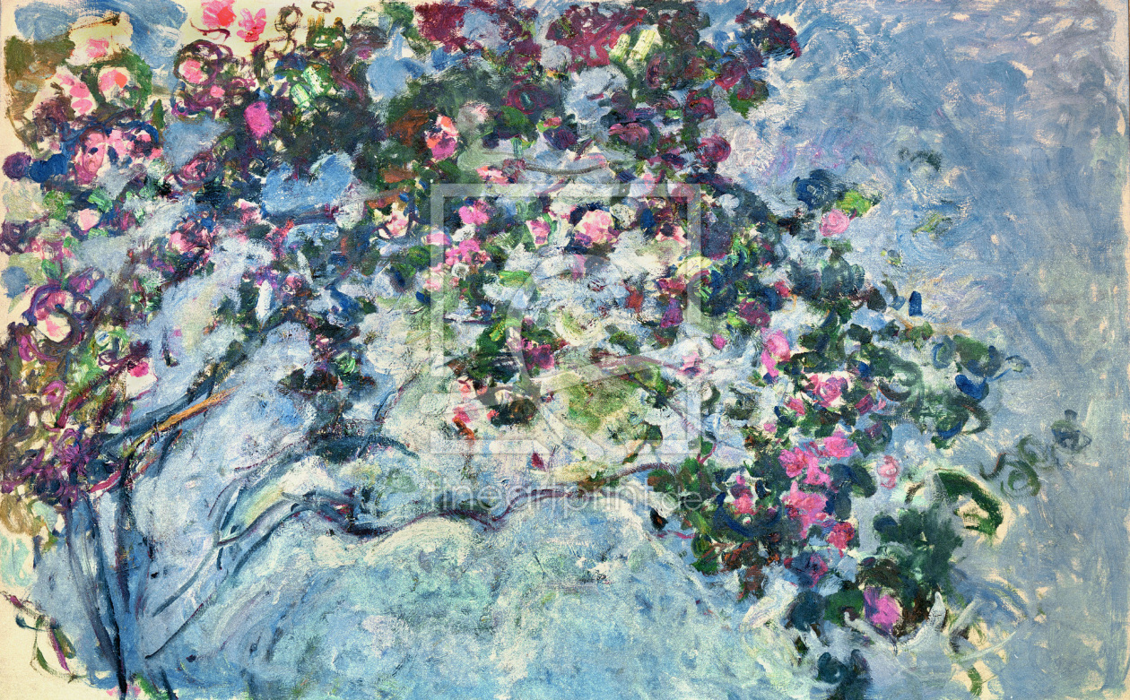 Bild-Nr.: 30004172 Monet / The rose-bush / 1925/26 erstellt von Monet, Claude