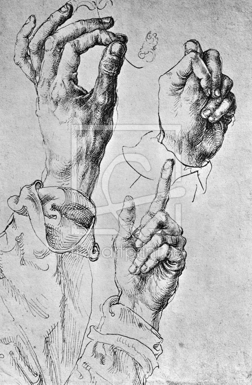 Bild-Nr.: 30004302 A.Dürer, Study of Three Hands / c.1490 erstellt von Dürer, Albrecht