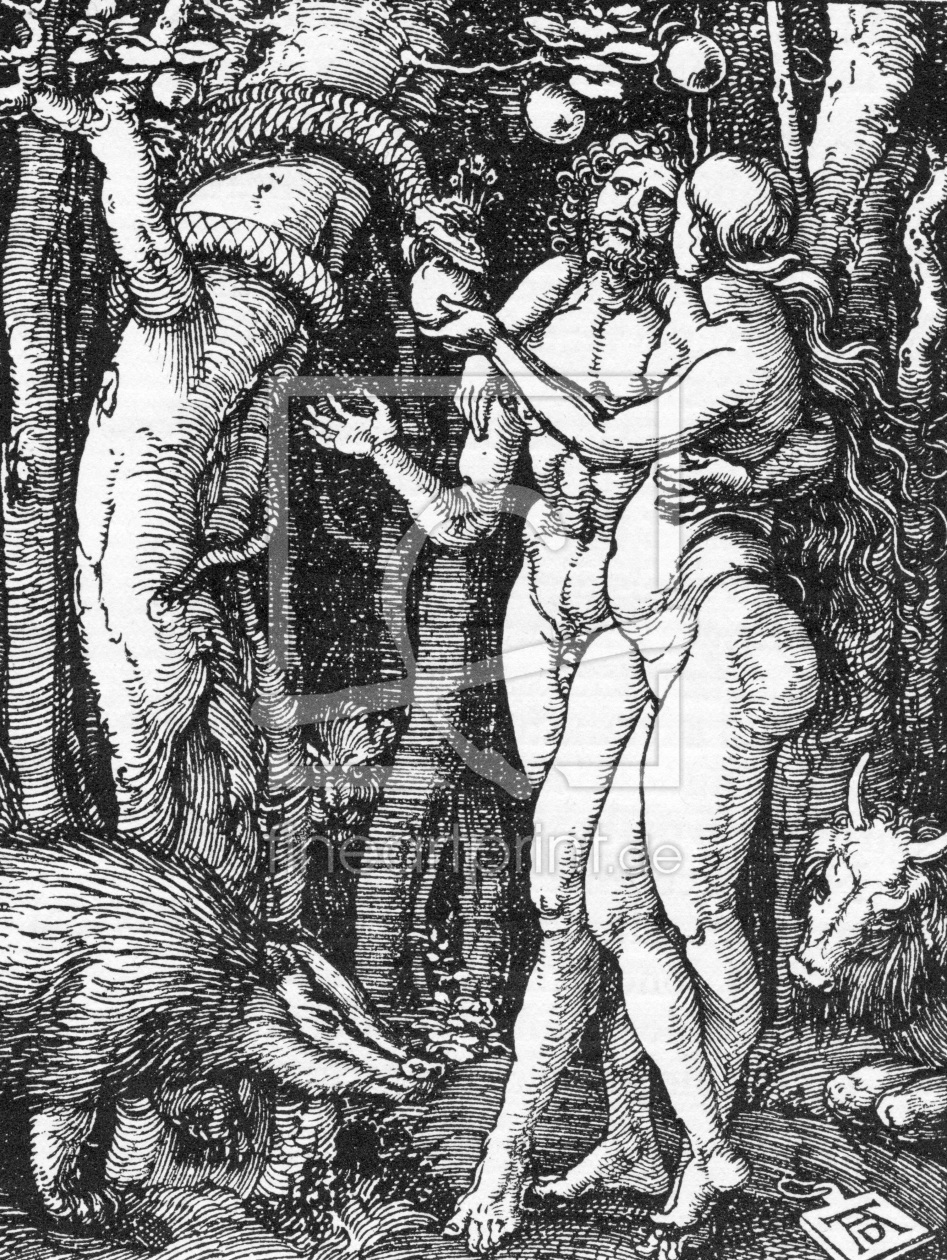 Bild-Nr.: 30004316 Dürer, Adam and Eve / Small Passion erstellt von Dürer, Albrecht