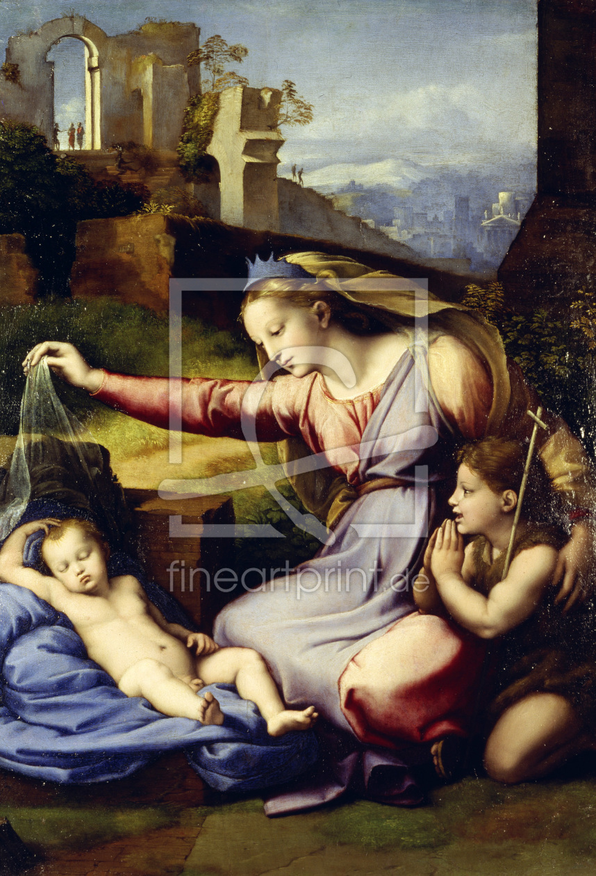 Bild-Nr.: 30004694 Raphael or Penni / Madonna del diadema erstellt von Raffaello Santi (Raffael)