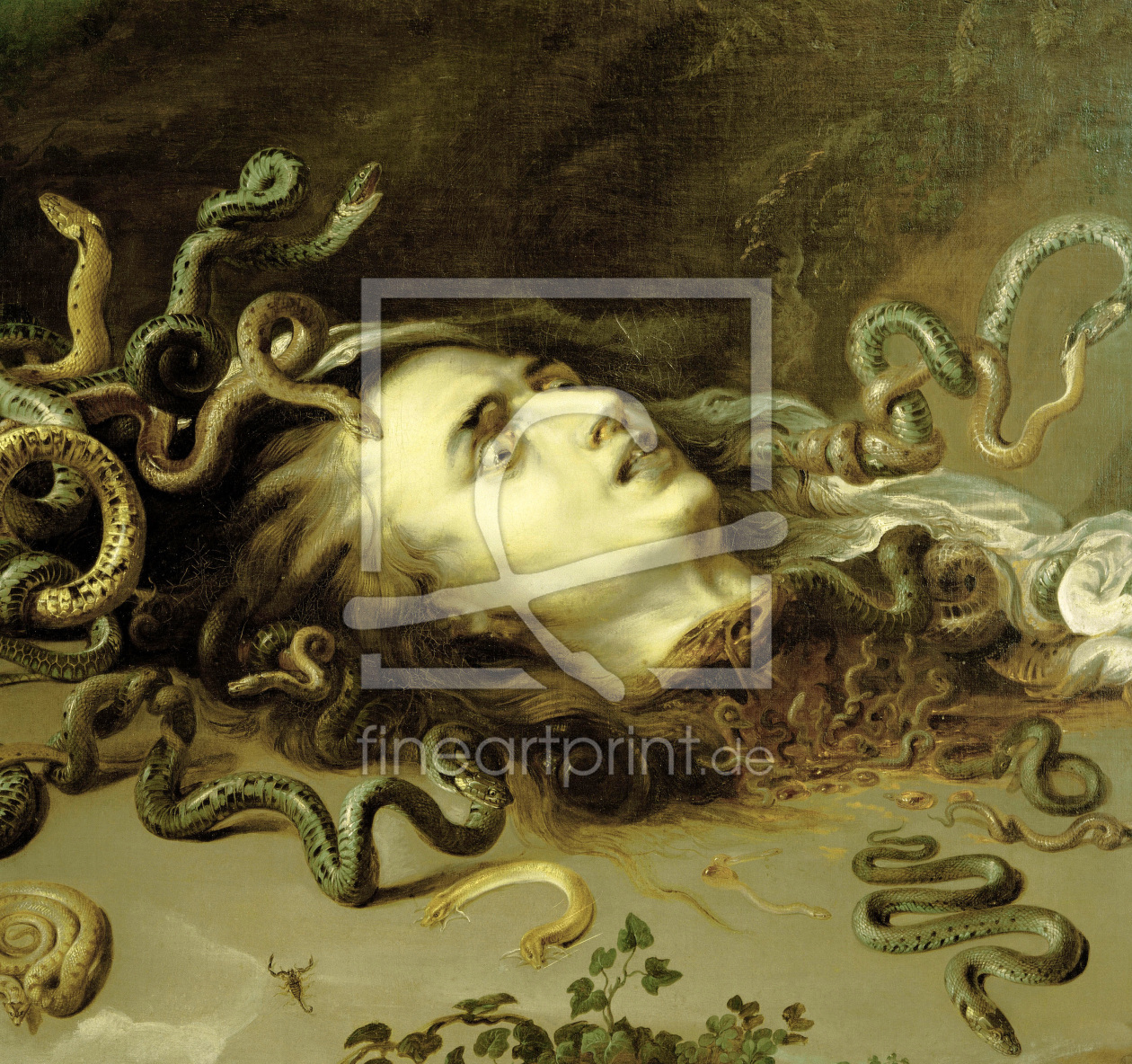 Bild-Nr.: 30005056 P.P.Rubens, Das Haupt der Medusa erstellt von Rubens, Peter Paul