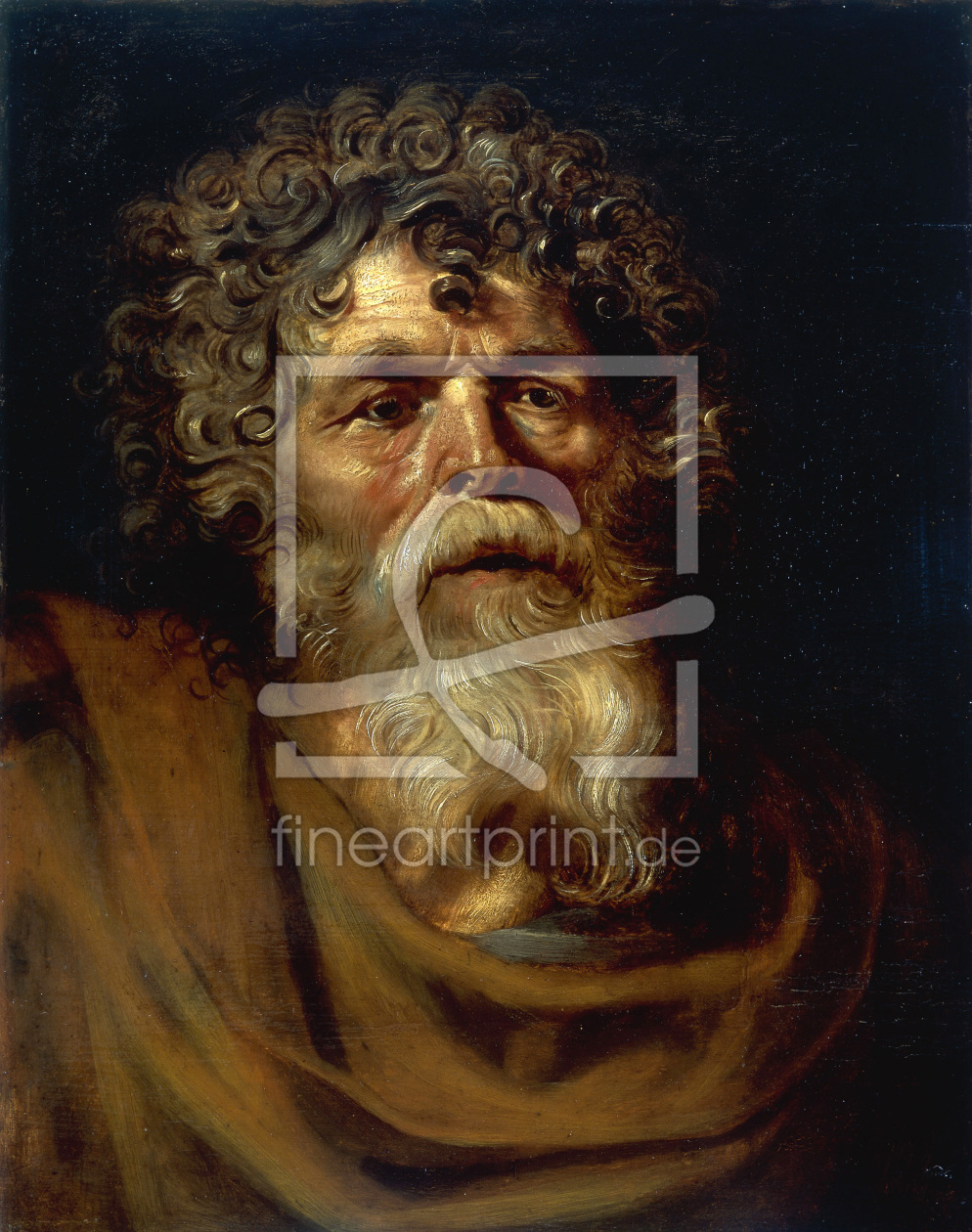 Bild-Nr.: 30005196 P.P.Rubens, Bärtiger alter Mann erstellt von Rubens, Peter Paul