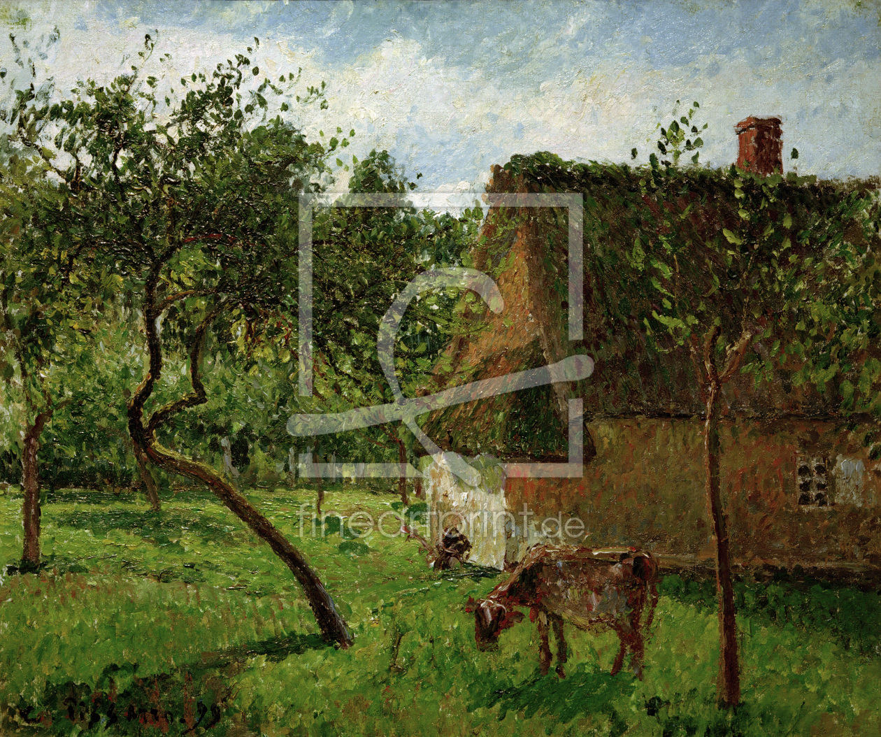 Bild-Nr.: 30006286 C.Pissarro, Obstgarten in Varengeville erstellt von Pissarro, Camille