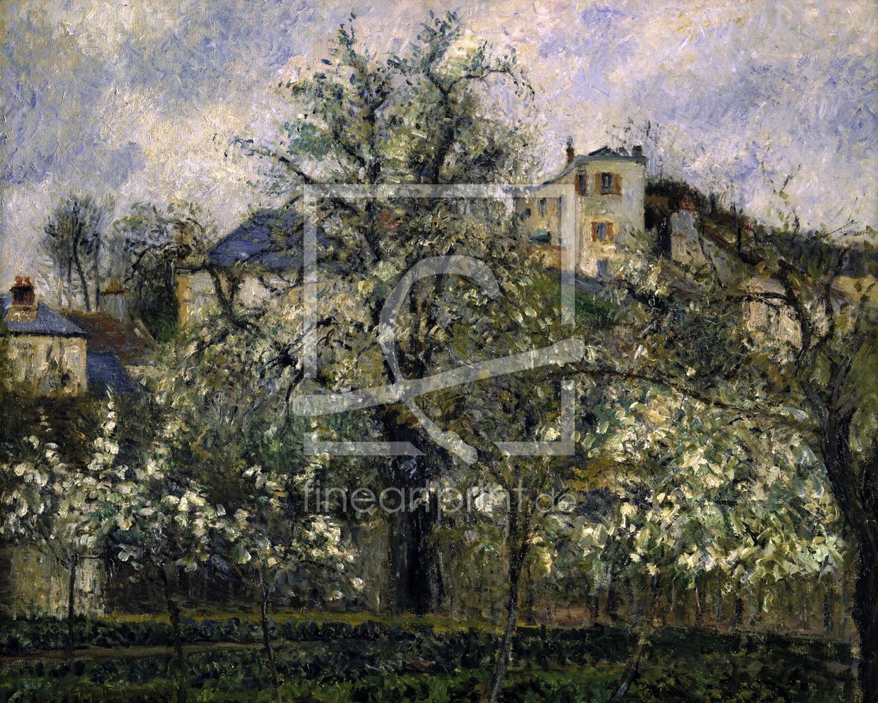 Bild-Nr.: 30006426 Camille Pissarro / Potager et arbres ... erstellt von Pissarro, Camille