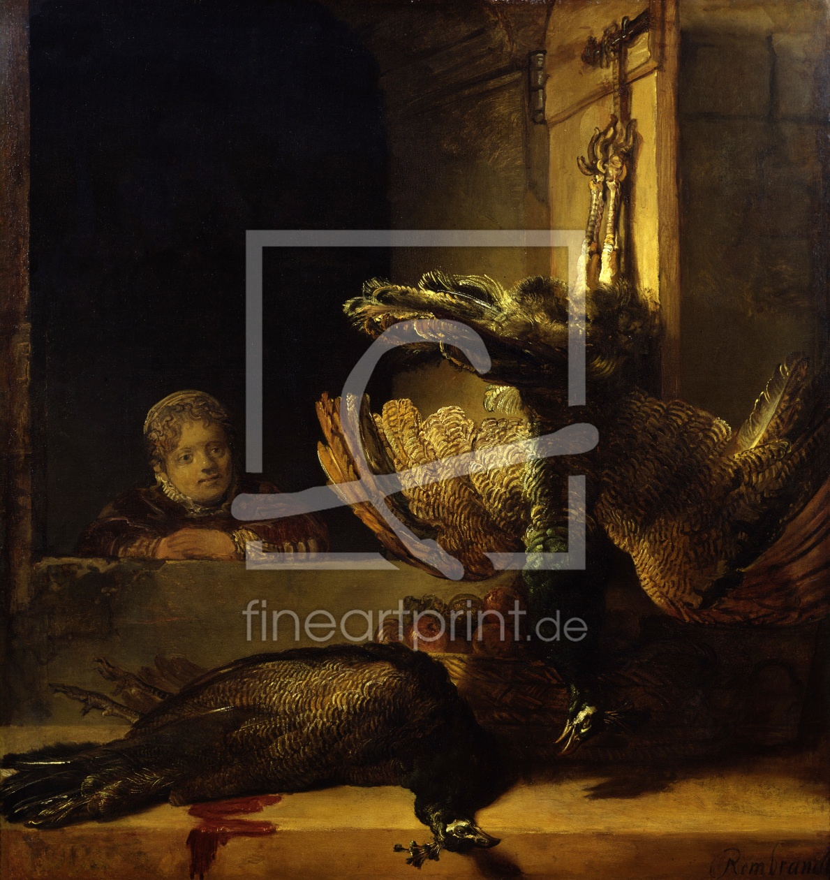 Bild-Nr.: 30007611 Rembrandt / Still-life with dead peacock erstellt von Rembrandt Harmenszoon van Rijn