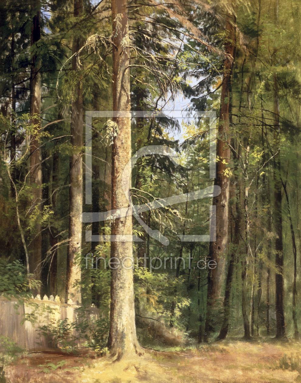 Bild-Nr.: 30007959 I.I.Shishkin, Forest, 1892 erstellt von Schischkin, Iwan Iwanowitsch