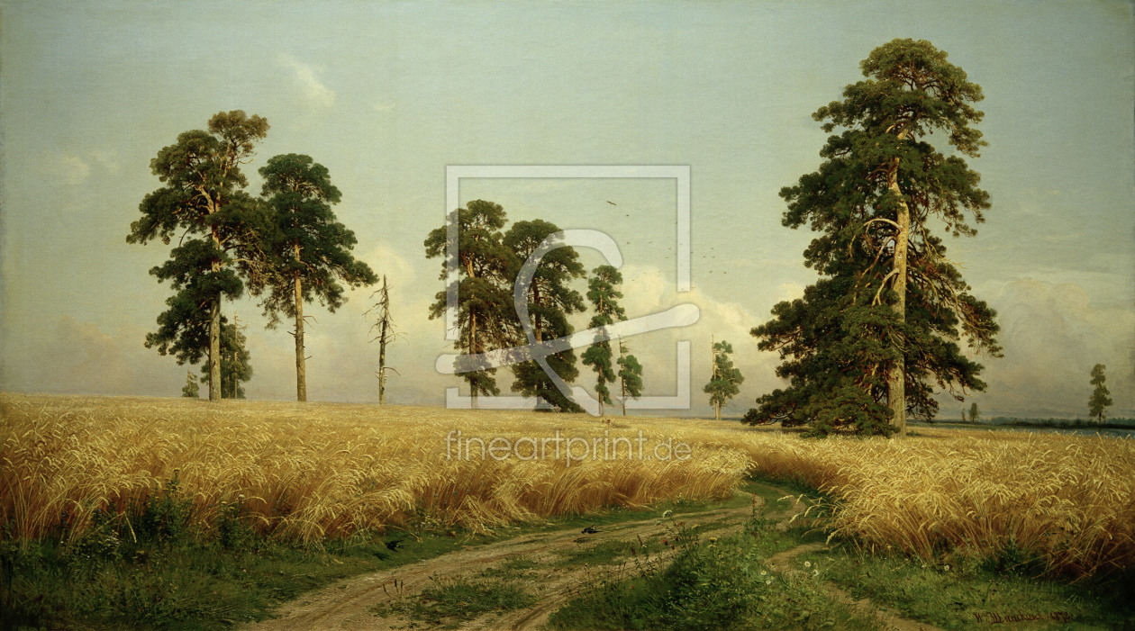 Bild-Nr.: 30007961 Shishkin / Rye / Painting erstellt von Schischkin, Iwan Iwanowitsch