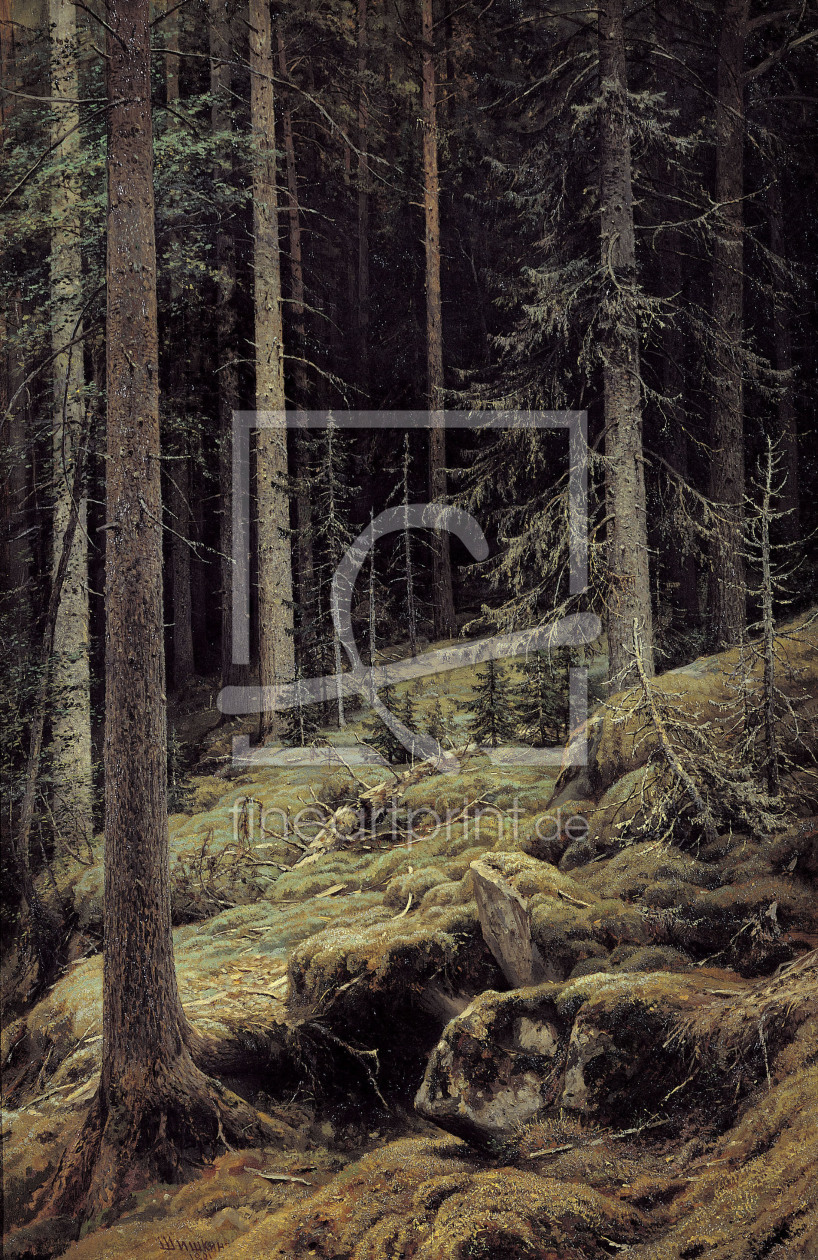 Bild-Nr.: 30007975 Shishkin / Forest Darkness / Painting erstellt von Schischkin, Iwan Iwanowitsch