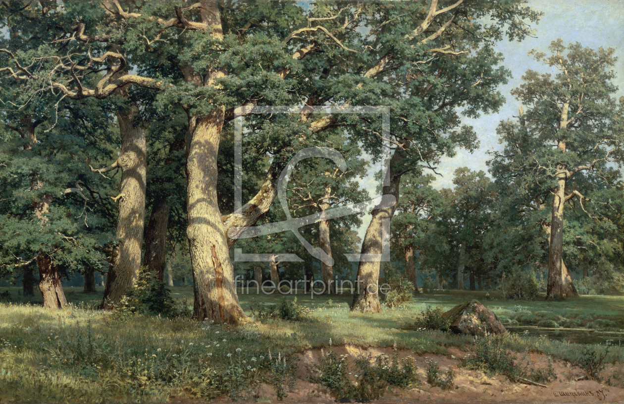 Bild-Nr.: 30007977 Shishkin / Oak Grove / Painting / 1887 erstellt von Schischkin, Iwan Iwanowitsch