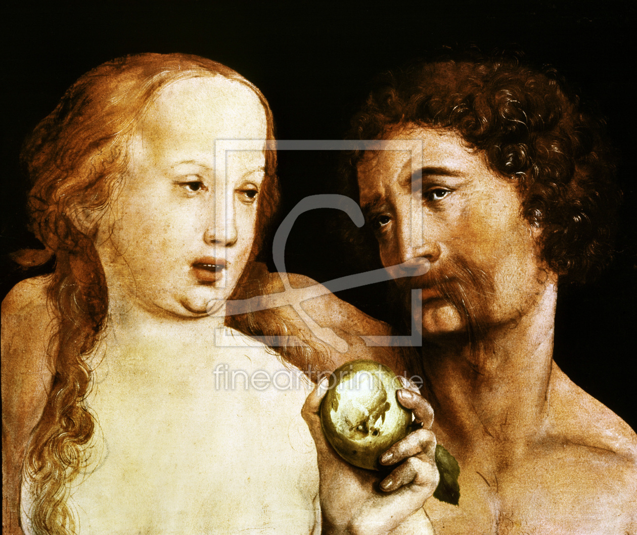 Bild-Nr.: 30008241 H.Holbein th.Y., Adam and Eve erstellt von Hans Holbein der Jüngere