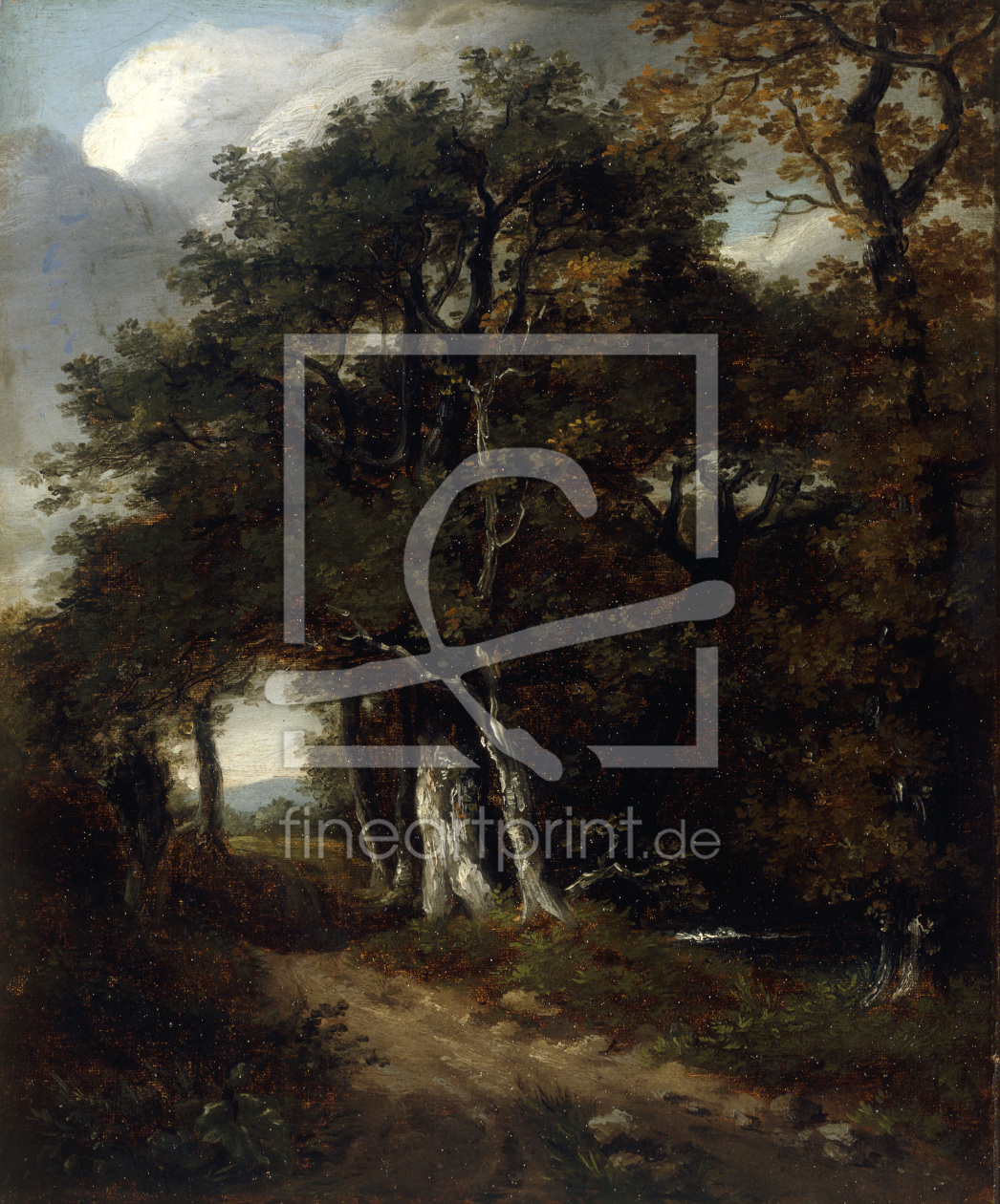 Bild-Nr.: 30008381 J.Constable, A Woodland Scene, c.1801. erstellt von Constable, John