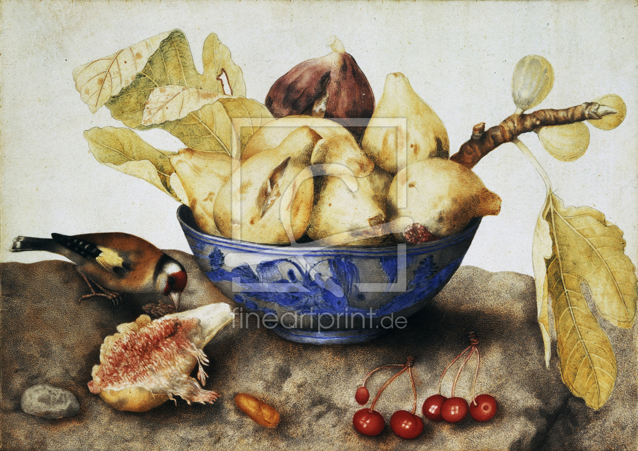 Bild-Nr.: 30009130 G.Garzoni / Bowl with Figs / c.1650 erstellt von Garzoni, Giovanna