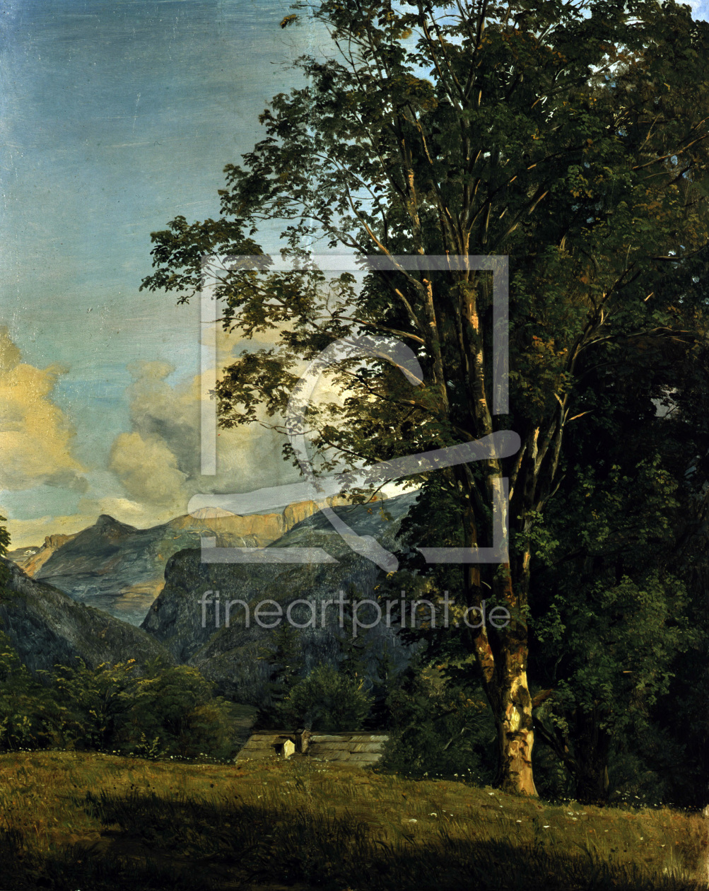 Bild-Nr.: 30009140 Waldmueller / Region near Ahorn / 1833 erstellt von Waldmüller, Ferdinand Georg