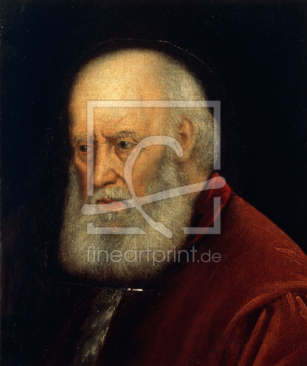 Bild-Nr.: 30009391 J.Tintoretto Workshop / Priamo da Lezze erstellt von Tintoretto, Jacopo