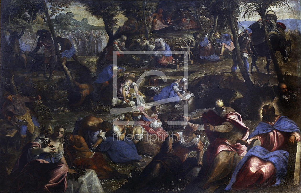 Bild-Nr.: 30009523 Tintoretto, Mannalese erstellt von Tintoretto, Jacopo