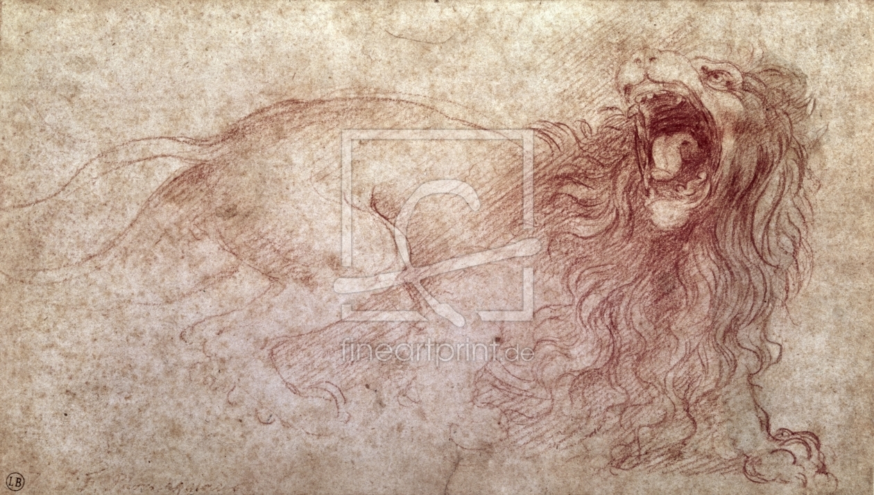 Bild-Nr.: 31000021 Sketch of a roaring lion erstellt von da Vinci, Leonardo