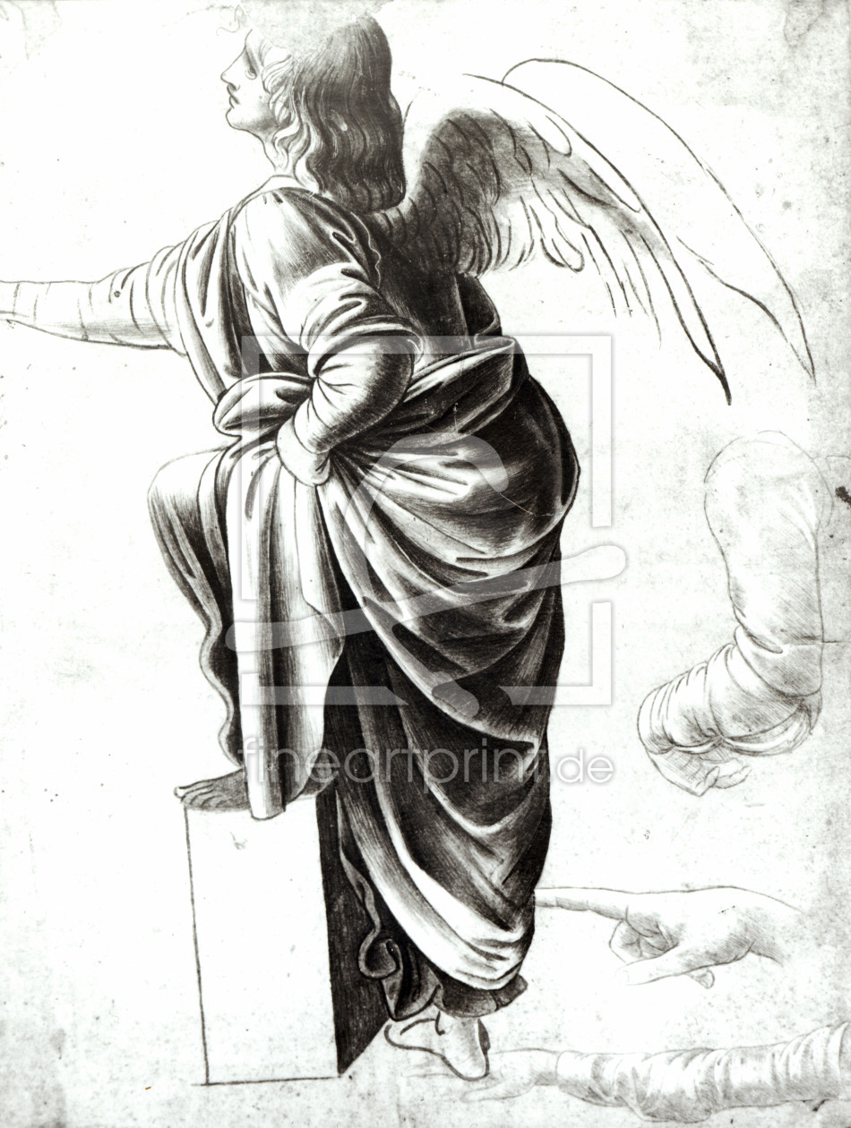 Bild-Nr.: 31000026 Study of an Angel erstellt von da Vinci, Leonardo