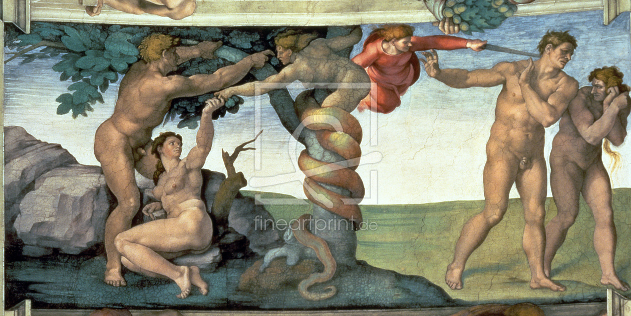 Bild-Nr.: 31000134 Sistine Chapel Ceiling : The Fall of Man, 1510 erstellt von Buonarroti, Michelangelo (Michelangelo di Lodovico Buonarroti Simoni)