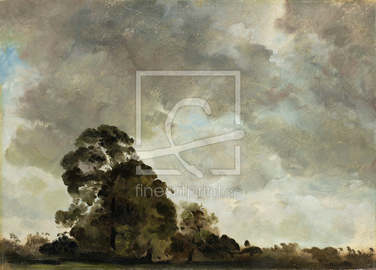 Bild-Nr.: 31000238 Landscape at Hampstead, Tree and Storm Clouds, c.1821 erstellt von Constable, John