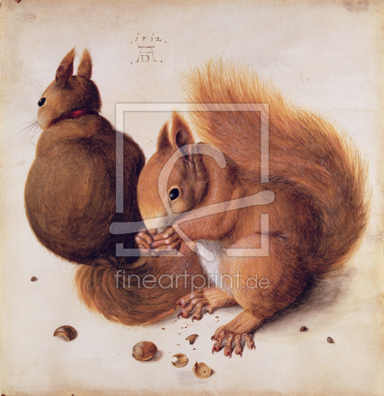 Bild-Nr.: 31000354 Squirrels, 1512 erstellt von DÃ¼rer, Albrecht