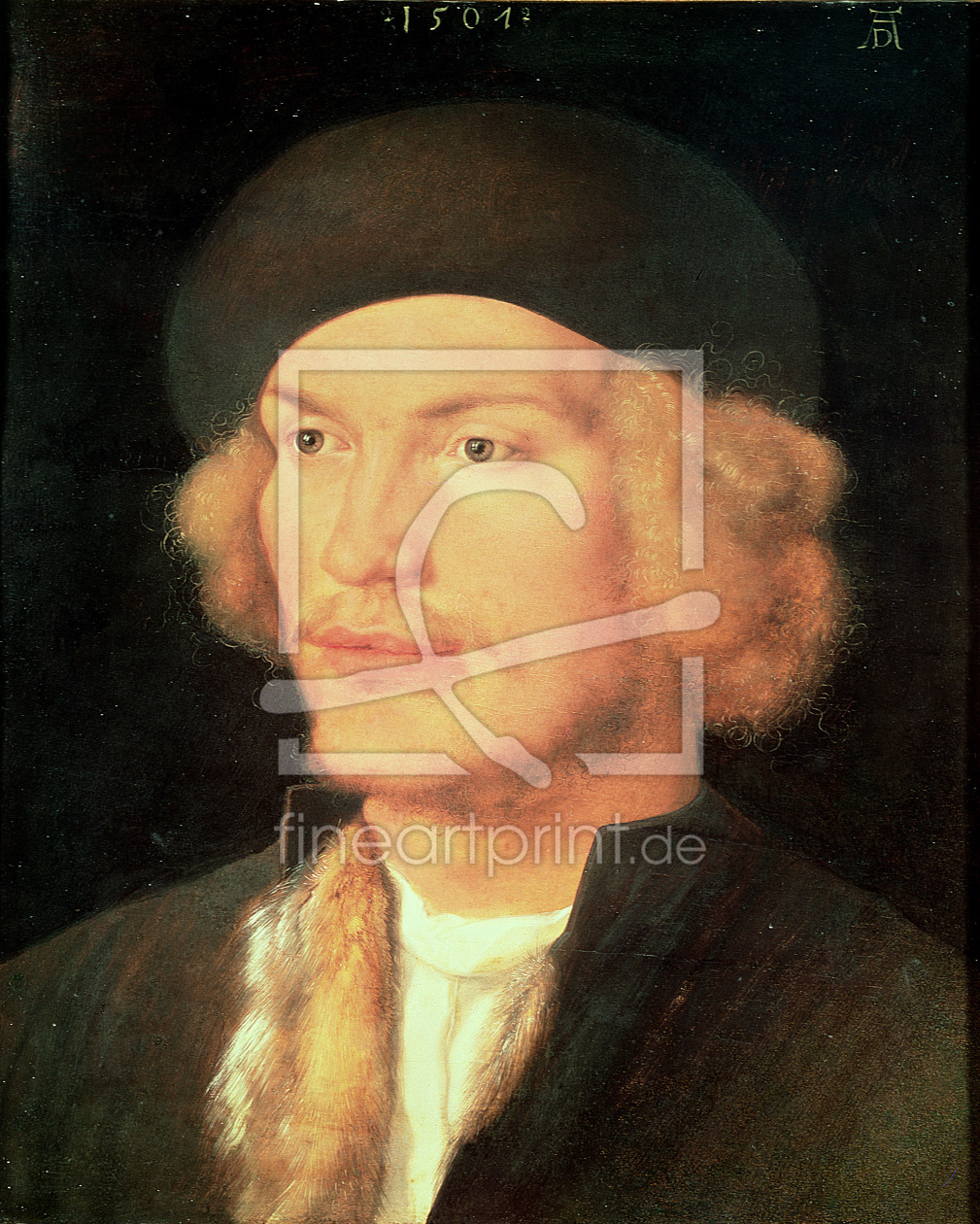 Bild-Nr.: 31000365 Young Man, 1507 erstellt von Dürer, Albrecht