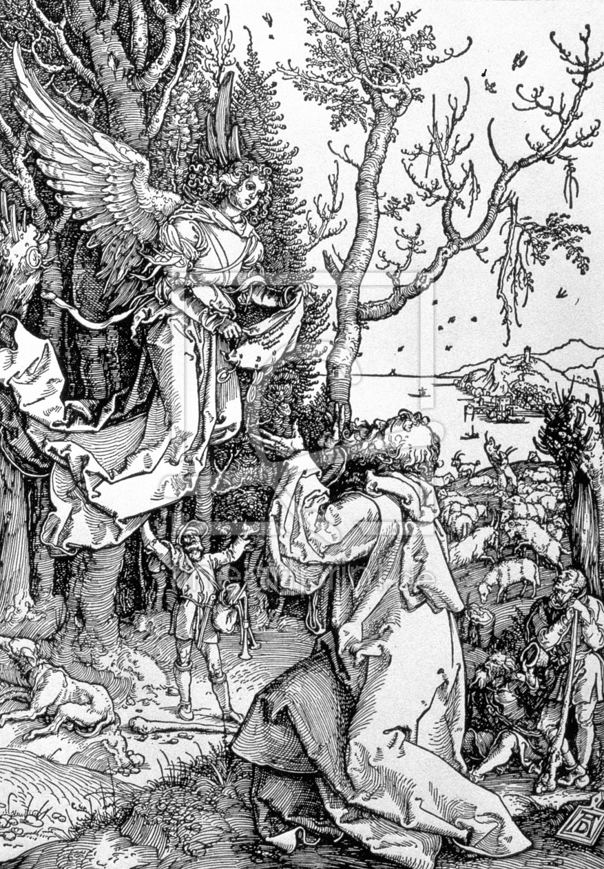 Bild-Nr.: 31000379 Joachim and the Angel from the 'Life of the Virgin' series, pub. 1511 erstellt von Dürer, Albrecht