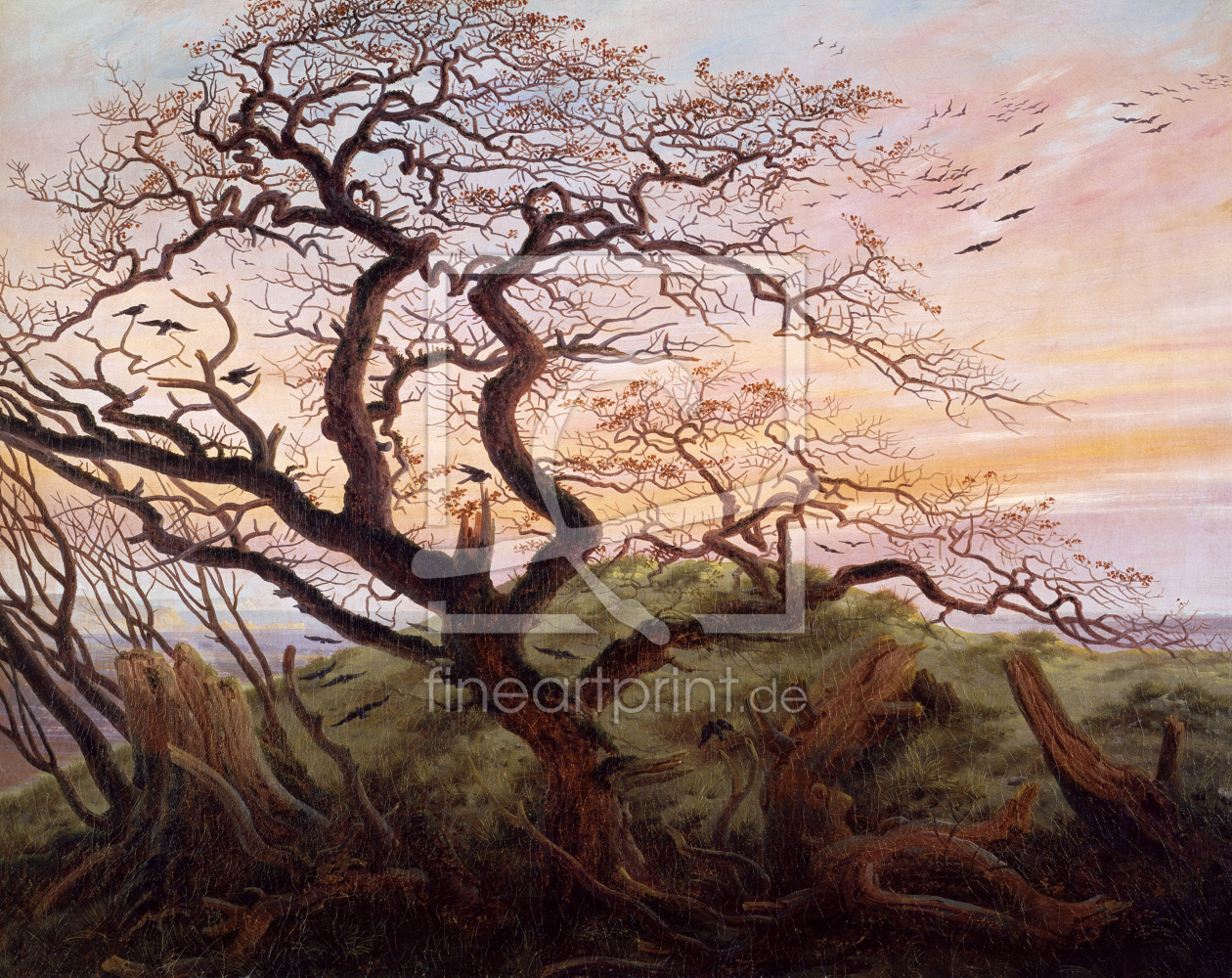 Bild-Nr.: 31000426 The Tree of Crows, 1822 erstellt von Friedrich, Caspar David
