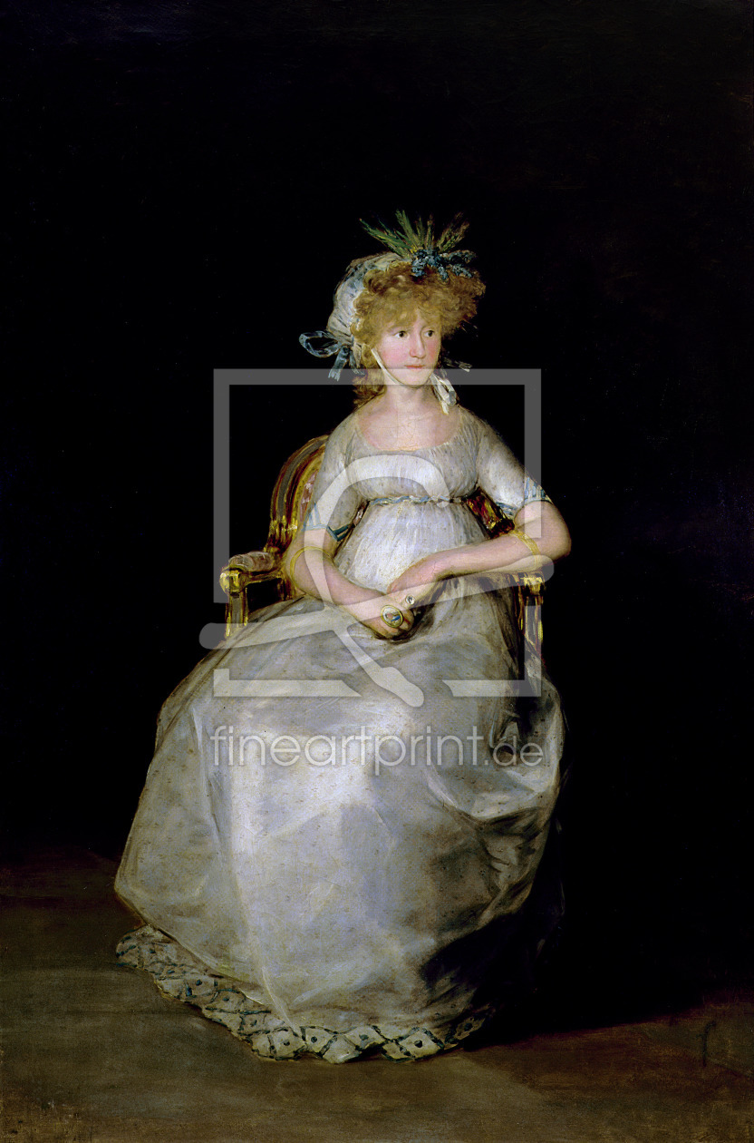Bild-Nr.: 31000541 Portrait of Maria Teresa of Ballabriga, Countess of Chinchon erstellt von Goya, Francisco de