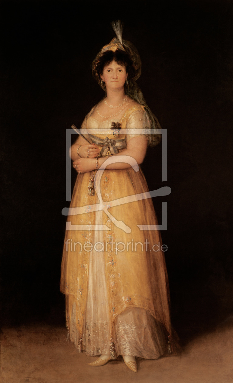 Bild-Nr.: 31000542 Portrait of Queen Maria Luisa wife of King Charles IV of Spain erstellt von Goya, Francisco de