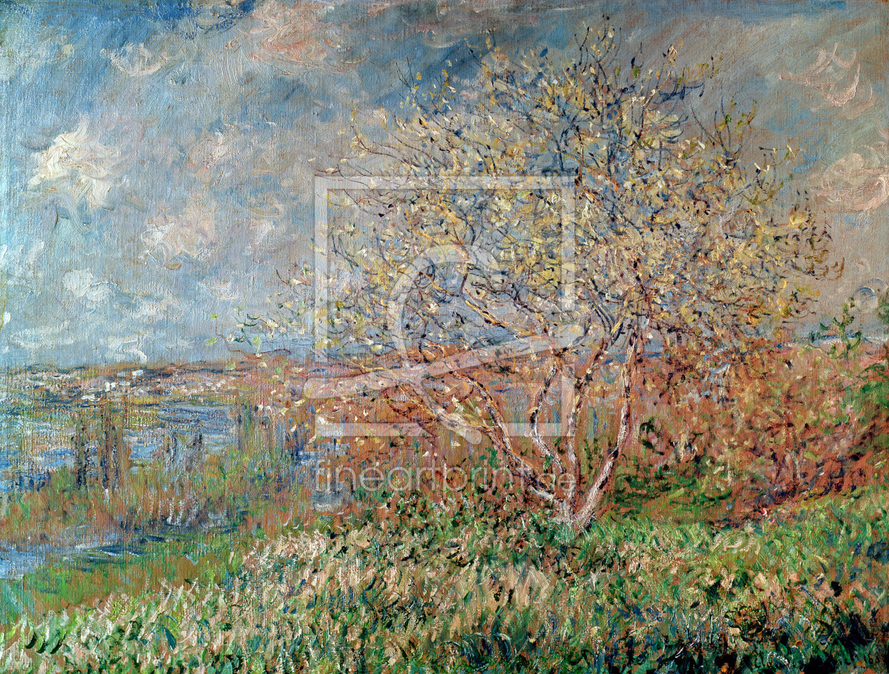 Bild-Nr.: 31000868 Spring, 1880-82 erstellt von Monet, Claude